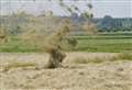 Walker's shock as 'devil' levitates grass