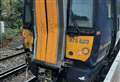 Train buckled by fallen tree