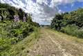 The abandoned M20 slip roads that nature has taken back