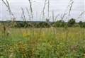 Village secures lottery grant to enhance meadow