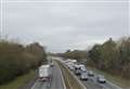 Gridlock as “several dogs” wander on motorway