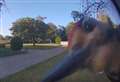 Footage captures moment ‘cheeky’ woodpecker ‘rings’ doorbell