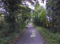 Fallen tree blocks road 