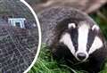 'Prison-like' doors put on badgers' home