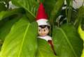 29 Elf on the Shelf adventures