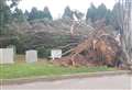 Gravestones destroyed by fallen trees