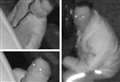 CCTV appeal after tools stolen from van