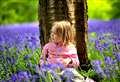 Beautiful bluebells blossom this spring