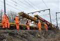 Overhanging tree sparks train disruption