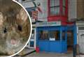 Kebab shop shuts down after ‘widespread rodent infestation’ found