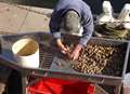 How heightened tensions in Korea could hit Kent's whelks