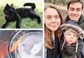 'Our cat brought home a goldfish - and it was still alive'