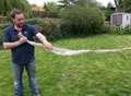 Mystery snake skin found in garden 