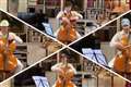 Cellist wins Test Match Special acclaim with four-part rendition of famous theme