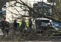 Fallen tree damages cars and blocks road