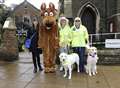  Best dressed guide dog 