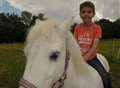 Ponies giving comfort to people with disabilities 