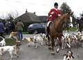 Fox hunters with 'no intention of disbanding'