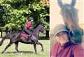 Owner's heartbreak as beloved horse dies in crash