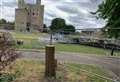 Upset as ‘sacred’ memorial tree reduced to measly stump after 'safety fears'