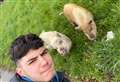 Shock as snaffling pigs trot past ‘surprised’ commuters