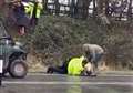 Video shows police chasing escaped sheep 