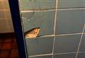 Toilets closed after vandals strike