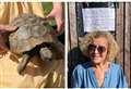 Owner’s shock after 74-year-old tortoise stolen from back garden