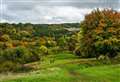 Abandoned golf course transformed into 123-acre wildlife haven