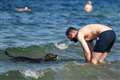 Northern Ireland’s bathing water regulations ‘out of step’, report finds