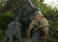 Crocodile man meets Howletts gorillas