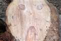 'The Scream' found in log