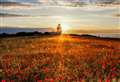 Skylarks and wildlife over the White Cliffs of Dover