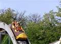 Vintage theme park calls a halt to auction