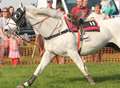 Brave girl halts runaway horse