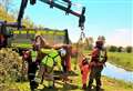 Horse rescued from muddy ditch