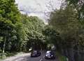 Dead hares strung up along busy road