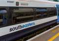 Fallen tree sparks rail delays