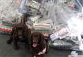 Sniffer dogs uncover thousands of illegal cigarettes in secret shop tunnel