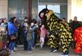 Roaring good fun at Chinese New Year celebrations 