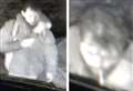 CCTV released after thefts from cars