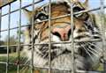 £2 million lifeline for animal parks