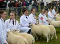 Numbers up at County Show 