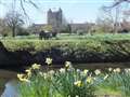 In an English country garden