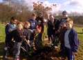 Young scouts plant Centenary Wood