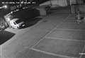 Hanging basket thief caught on CCTV