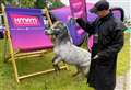 Crowds brave the rain as County Show opens its gates