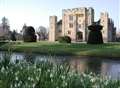 Castle's sensational snowdrops