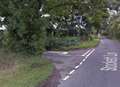 Fallen tree blocks road