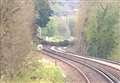 Fallen tree stopped trains